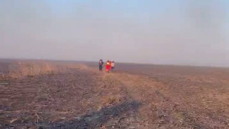20 de misiuni executate de pompierii tulceni în weekend: au salvat o familie surprinsă de un incendiu de vegetație uscată