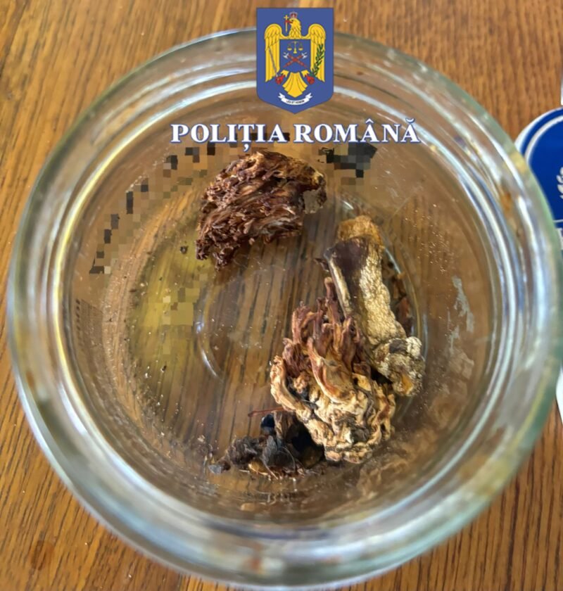 Bărbat de 43 de ani, din Costineşti, prins cu droguri de către o patrulă de poliţie