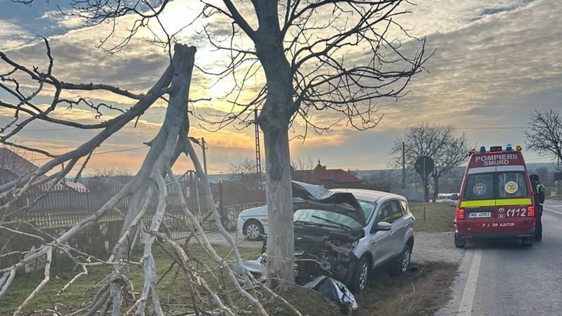 Accident rutier în județul Tulcea. Șoferul unei mașini a evitat un câine și s-a izbit de un copac