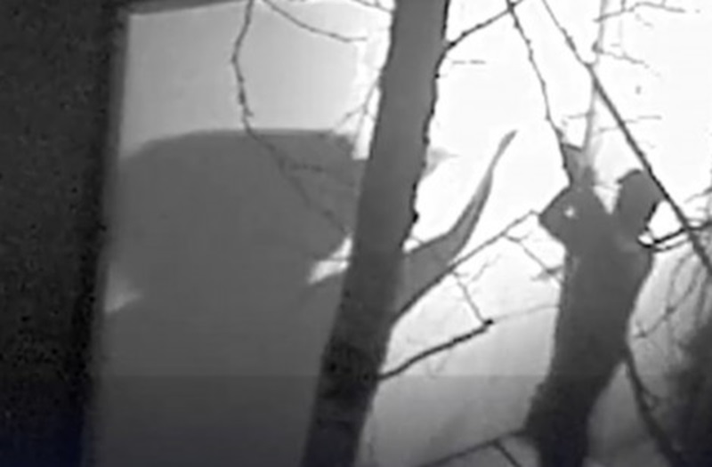 Piese dacice furate de la Muzeul Drents: jaful a fost surprins de camerele de supraveghere. Hoții au acţionat în mai puțin de trei minute – VIDEO