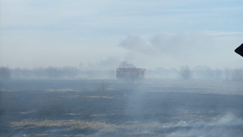 Misiune contracronometru pentru stingerea unui incendiu de vegetație în Delta Dunării. Ard 10 hectare