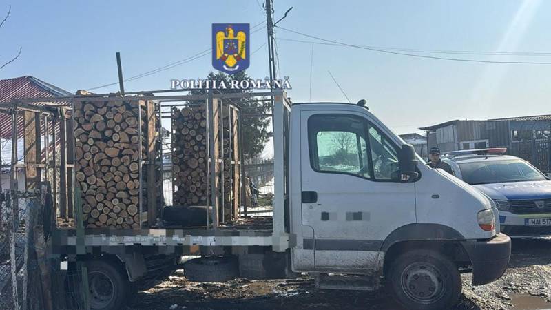 Acțiune a polițiștilor orașului Techirghiol: oamenii legii au indisponibilizat aproape cinci metri cubi de material lemnos