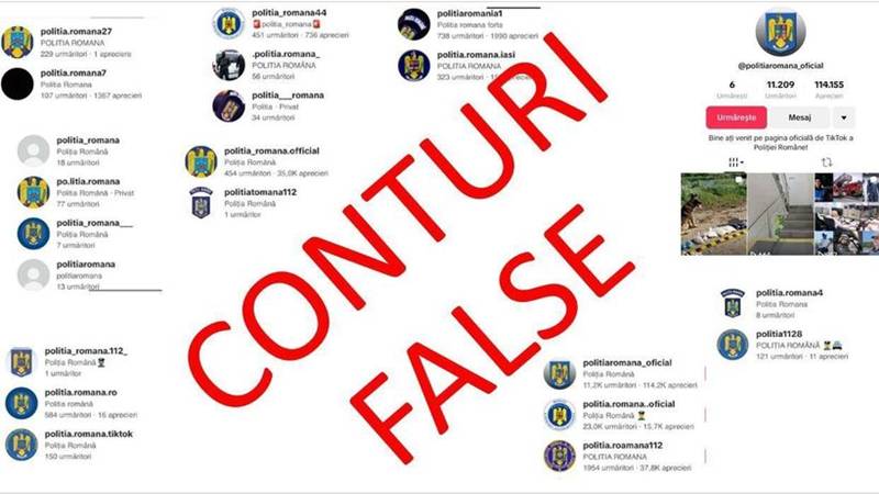 MAI a eliminat peste 160 de conturi de TikTok care utilizau ilegal însemnele Poliției Române