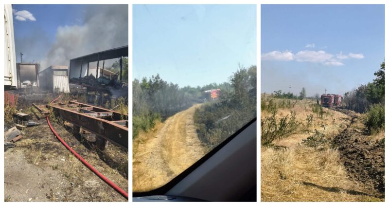 UPDATE. Incendiu violent la Poarta Albă, pe mai multe focare – au ars 40 de hectare de vegetație uscată
