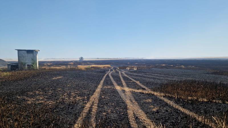 (FOTO) Val de incendii în județul Constanța din cauza caniculei. Pompierii intervin și în poligonul Unității Militare din Topraisar
