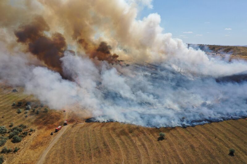 TULCEA. Peste 40 de pompieri intervin la un puternic incendiu de vegetaţie uscată. Există riscul extinderii focului şi către gospodării