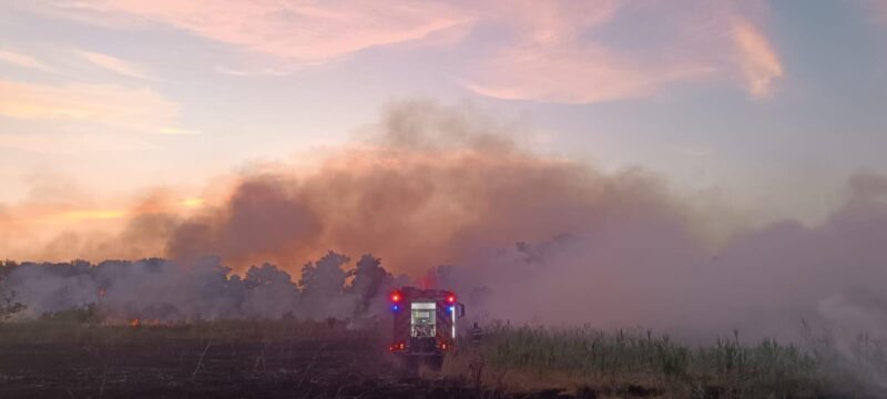 S-a reaprins incendiul de vegetație din Delta Dunării, zona Chilia! Un elicopter Black Hawk a ajuns în zonă