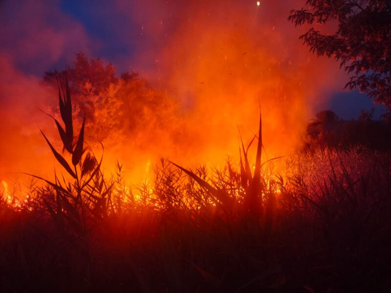 Atenționare pentru românii care călătoresc în Italia. Cod roșu de incendii de vegetație în mai multe zone