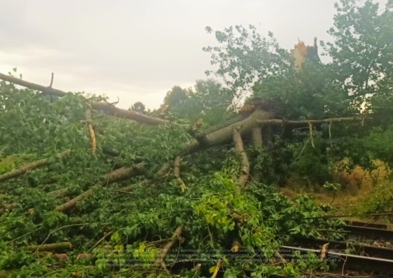 Furtunile afectează mersul trenurilor! Întârzieri de sute de minute înregistrate în Gara de Nord