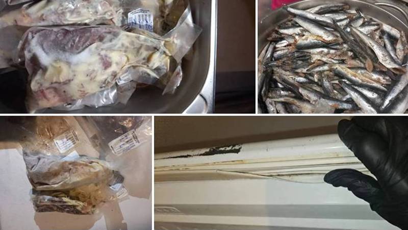 Șapte cluburi din Vama Veche și Costinești, închise temporar de Protecția Consumatorilor: amenzi de peste 230.000 de lei – ce nereguli au găsit comisarii