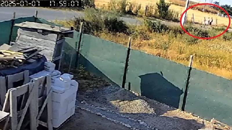 Incendiul din Poarta Albă, provocat intenționat: autorii, doi bărbați de 21 și 23 de ani, au fost identificați de polițiști