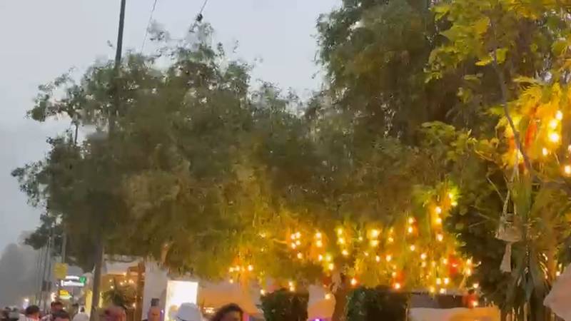 Cod galben de vânt puternic în Constanța și alte localități din județ: rafale de până la 70 de km/h