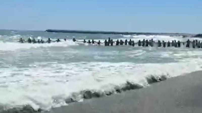 (VIDEO) Mobilizare impresionantă de forțe, la Jupiter. Lanț uman pentru a salva doi copii și un bărbat din mare