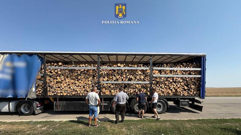 JUDEȚUL CONSTANȚA. Transport ilegal de material lemnos, descoperit pe DN 38: camionul depășea tonajul admis cu peste 12 tone