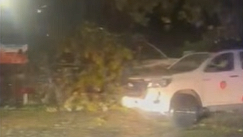 Cod roșu de vreme rea la Constanța! Un copac a căzut peste o mașină parcată