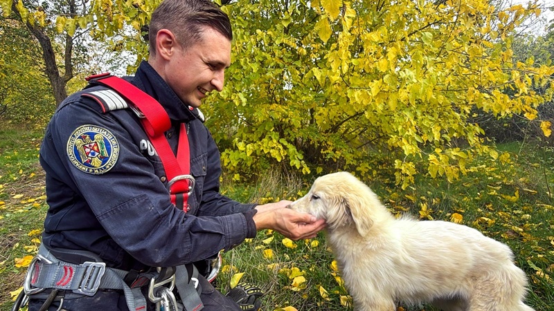 Pentru salvatori, fiecare viață contează! Pompierii tulceni au salvat o cățelușă dintr-o fântână