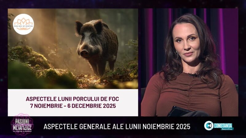 Aspectele generale ale lunii noiembrie 2025 la „Pasiuni Metafizice” cu Cristina Vladimirov