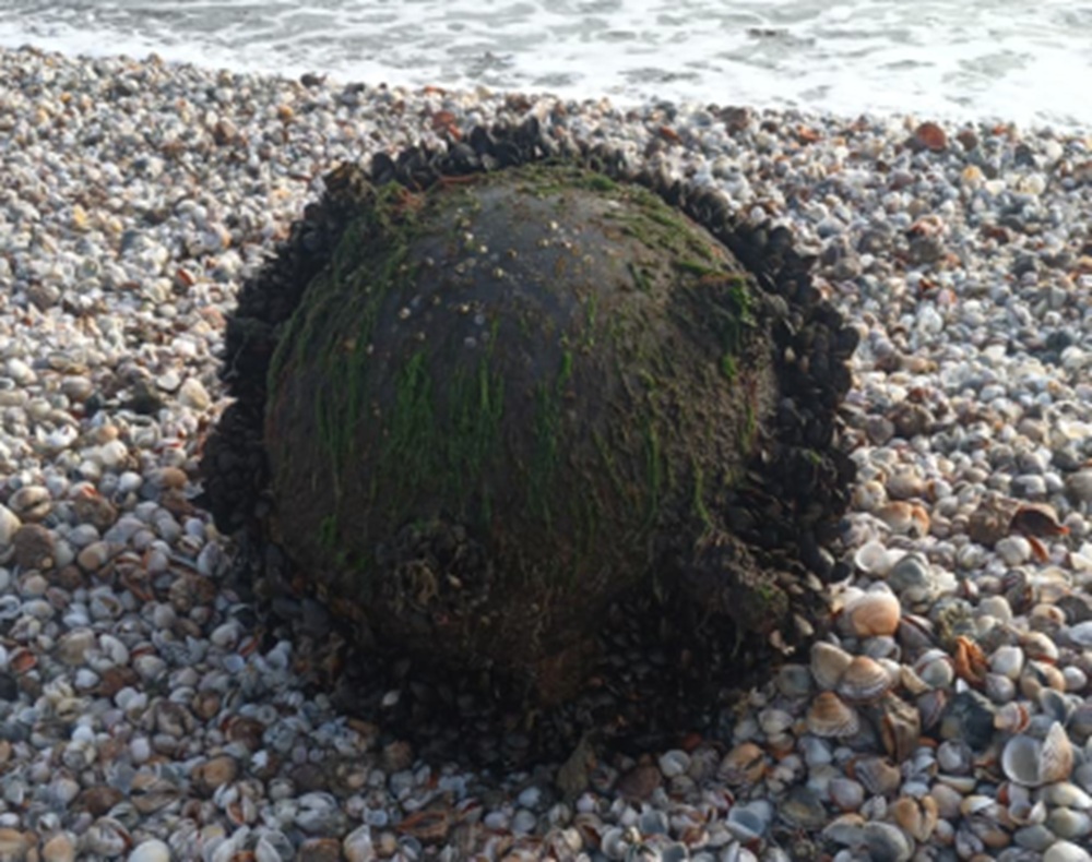 Ambasada Rusiei la Bucureşti: Minele marine în derivă din Marea Neagră au exclusiv origine ucraineană şi nu au nicio legătură cu Rusia