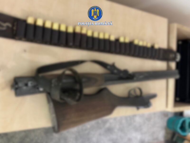 JUDEȚUL CONSTANȚA. Bărbat arestat după ce a împuşcat un câine cu o armă de vânătoare