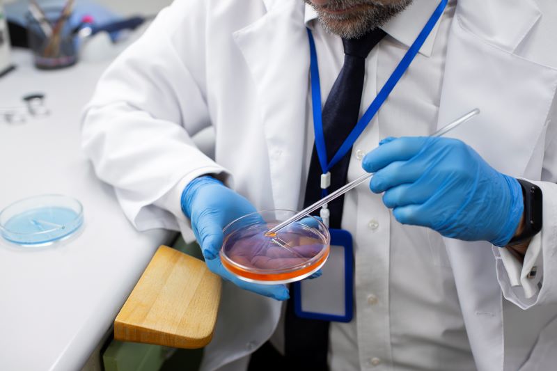 Fertilizare in vitro. Mai mulți români vor beneficia de program în 2026