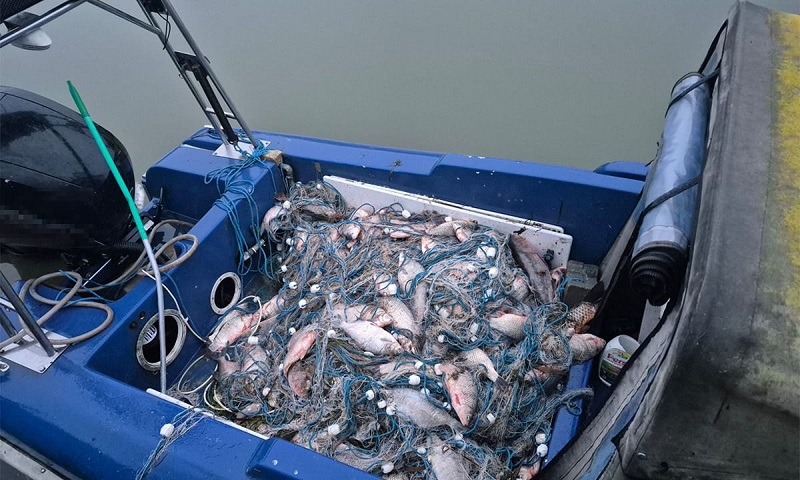 Acțiune în forță în Delta Dunării. Peste 3.400 metri de plase și 400 kg de pește confiscate
