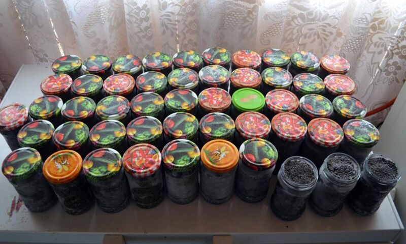 Polițiștii de frontieră constănțeni au confiscat 15 kg de icre negre în urma unor percheziții