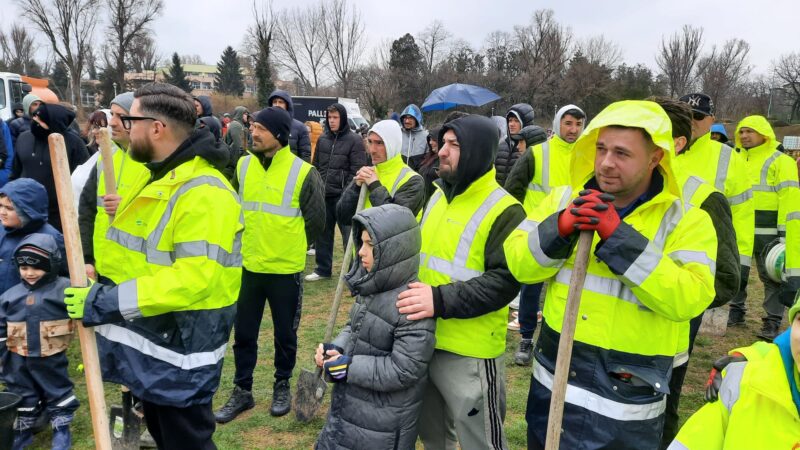 „Împreună plantăm speranță”. Zeci de constănțeni și-au unit forțele pentru natură: copaci plantați la Palatul Copiilor chiar dacă afară ploua