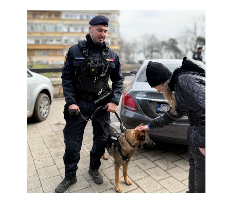Amenzi de peste 61.000 de lei date de jandarmii constănțeni în prima jumătate a lunii martie