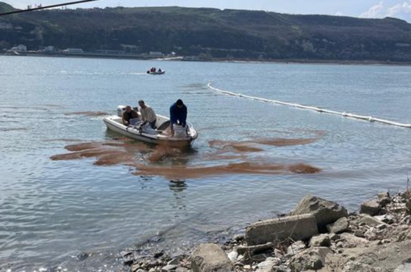 Poluare pe Dunăre după scufundarea unei nave. Furnizarea apei în zona Turnu Măgurele a fost sistată
