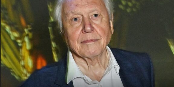 Portrait of David Attenborough in a dark blazer and white shirt, with bold white text reading 'DAVID ATTENBOROUGH' at the bottom and yellow text 'JOE' at top-left against a blurred background.