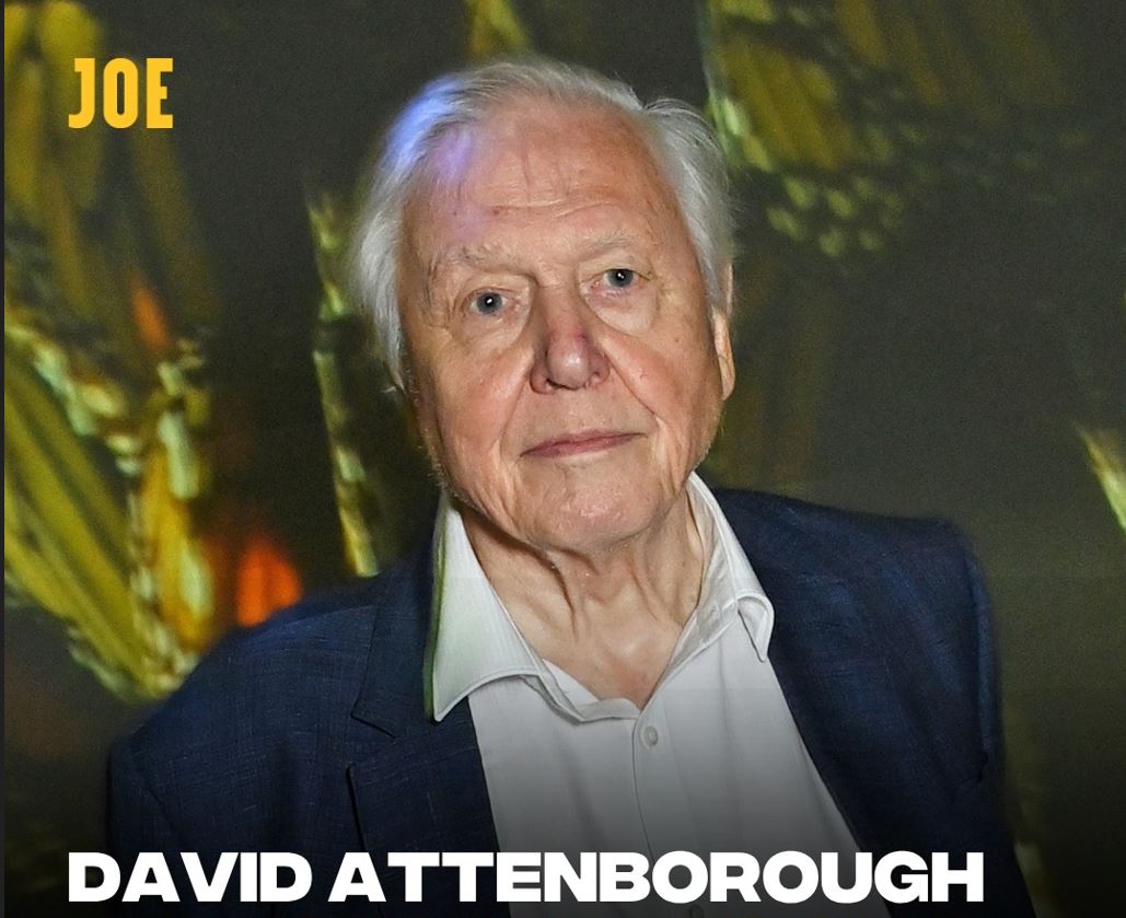 David Attenborough împlinește 100 de ani! Evenimente uriașe la BBC