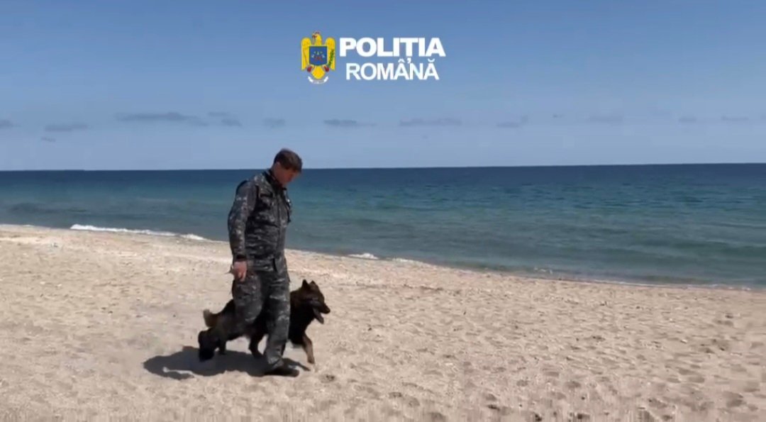 Aza, câinele polițist care a prins în timp record autorul unei tâlhării din Chirnogeni