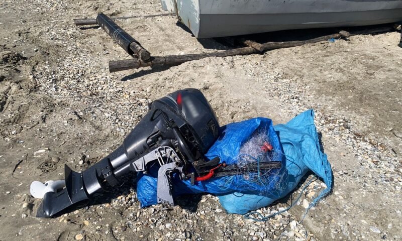 Sturioni descoperiţi de poliţiştii de frontieră în plase de pescuit, eliberaţi în Marea Neagră – FOTO