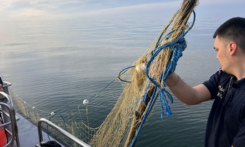 Cinci sturioni prinși în plase ilegale, în Marea Neagră, salvați de polițiștii de frontieră