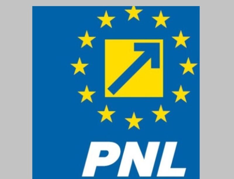 Reacția PNL, după depunerea moțiunii de cenzură: „Politica demolării pune în pericol România”