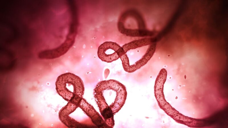 Brazilia investighează un caz suspect de Ebola, la Sao Paulo