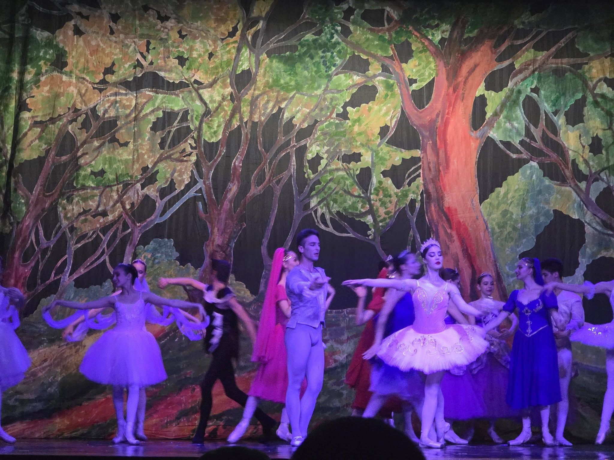 „Mărul de Aur”, un succes răsunător pe scena Teatrului de Stat Constanța. Povestea Angelicăi Elena Mihale Ceară, balerina care de 40 de ani trăiește prin dans
