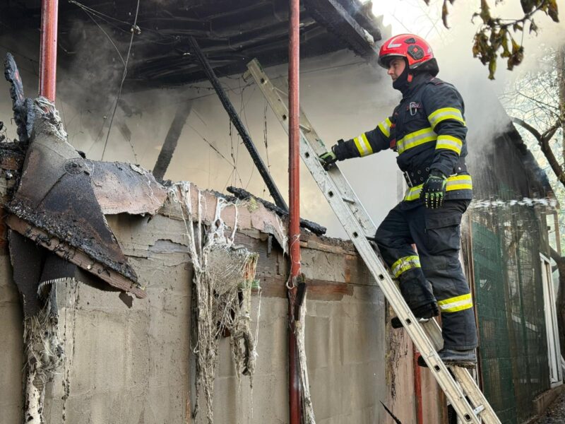 Incendiu puternic la Tulcea, în această dimineață! Zeci de păsări au murit