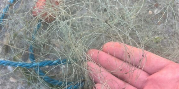 Close-up of a hand holding a tangle of thin fishing line or net strands.