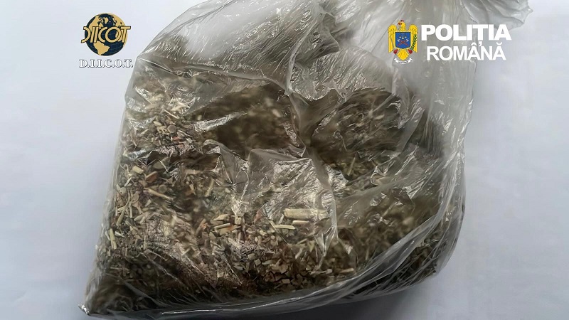 Trei persoane din Cernavodă, reținute într-un dosar de trafic de droguri de mare risc