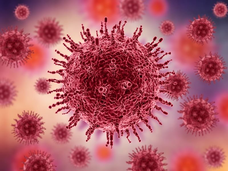 Primul caz de infectare cu hantavirus confirmat în România
