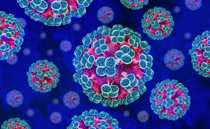 Centrul de Sănătate Publică ucrainean: Ucraina înregistrează zeci de cazuri de hantavirus în fiecare an