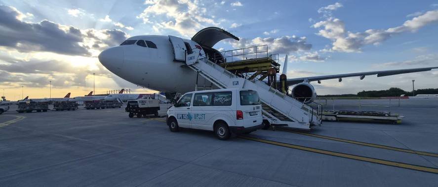 ANSVSA: În premieră, România livrează peste 4.000 de oi în Algeria cu avioane cargo