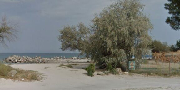 A sandy coastal scene with a large tree near a fenced area, calm sea in the background and a rocky jetty extending into the water at left.