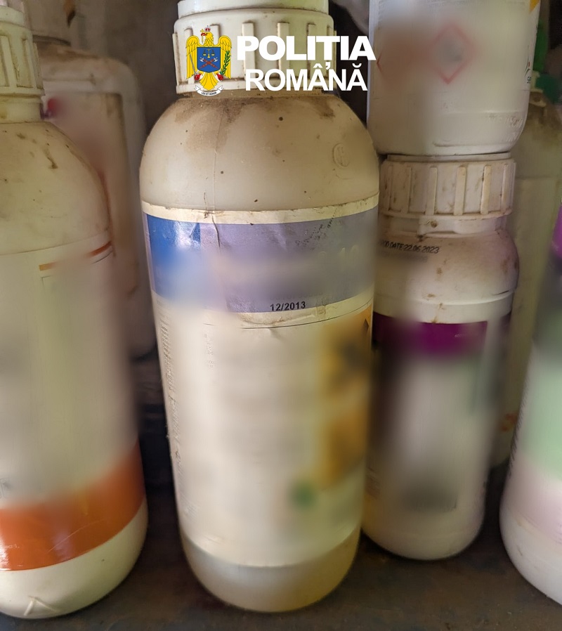 Percheziții la Băneasa și Negureni într-un dosar de înșelăciune. Arme, bani și produse fitosanitare expirate, descoperite de polițiști