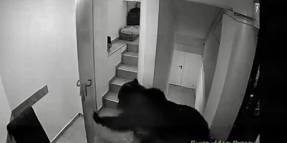 Night-vision security camera shows a shadowy figure in a dark hoodie moving toward an open doorway in a narrow stairwell, with stairs and a landing visible nearby (grainy surveillance footage).