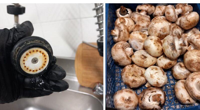 Mizerie, produse fără etichete și echipamente neigienizate. Ce au găsit inspectorii CJPC la restaurantul Vatra Românească din Mamaia