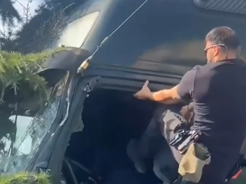 CONSTANȚA. Șofer de TIR lovit cu piciorul și stropit cu spray de polițiști locali după accidentul cu 10 autovehicule – ar fi fost la un pas de comă hipoglicemică