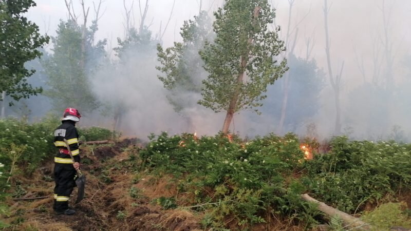 Incendiu de pădure în județul Tulcea. Aproximativ 22 de hectare au fost afectate