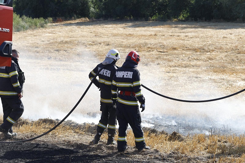 Zi de foc pentru pompierii tulceni. Incendii, copaci doborâți de vânt și culturi agricole salvate